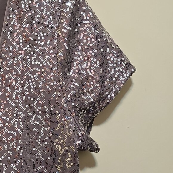 New White House Black Market SMALL Pewter Sparkle Shell Short Sleeve Top - Picture 3 of 7